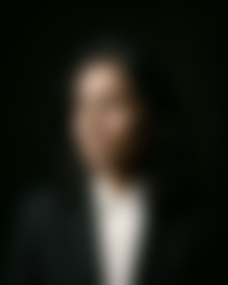 Blurred portrait of a fictional persona: The Lawyer.